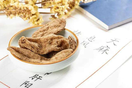 gastrodia elata Chinese herb-Herbal Vitae.jpeg